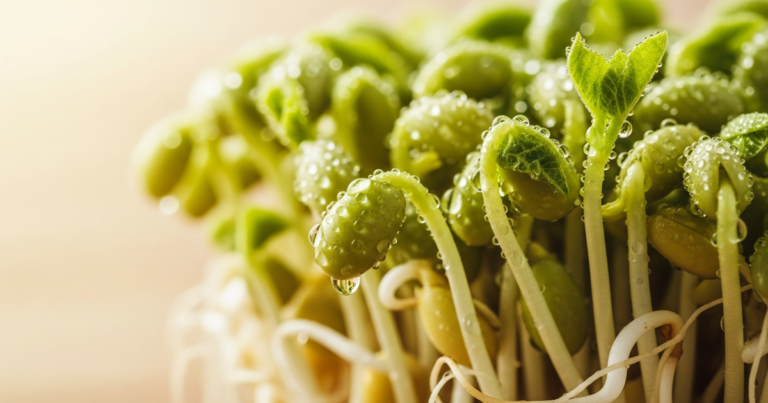 細胞老了，人就老了：認識胜肽的修復力量