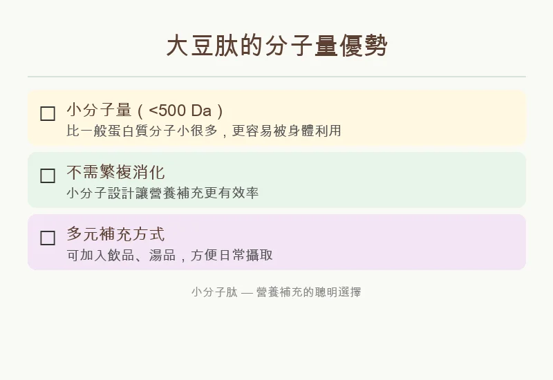 蛋白質分子量大小與吸收力圖解