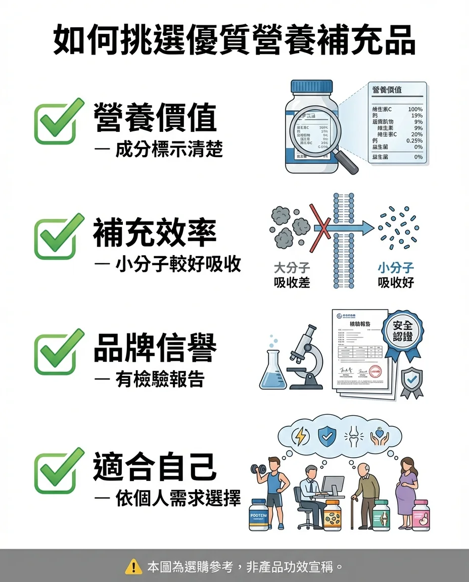 花生肽 vs 花生蛋白 vs 花生：別搞混了