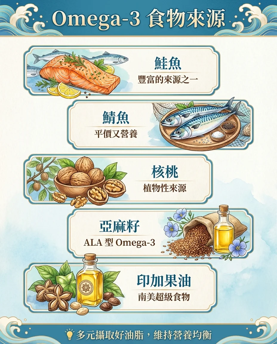 Omega-3幫助維持舒適食物來源圖解