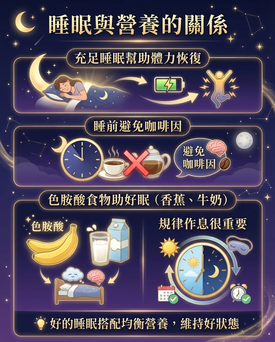 睡眠週期前半夜vs後半夜圖解