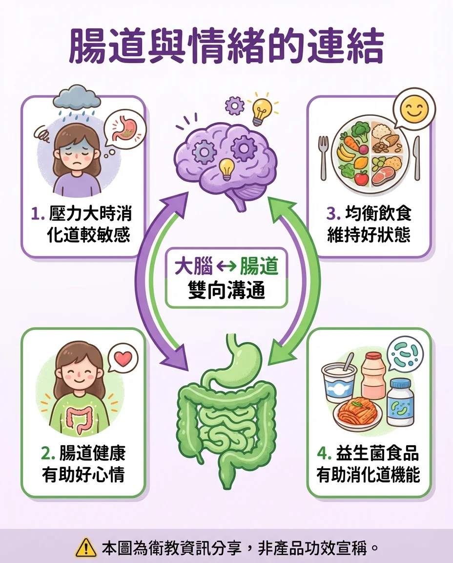腸腦軸線壓力影響腸道圖解