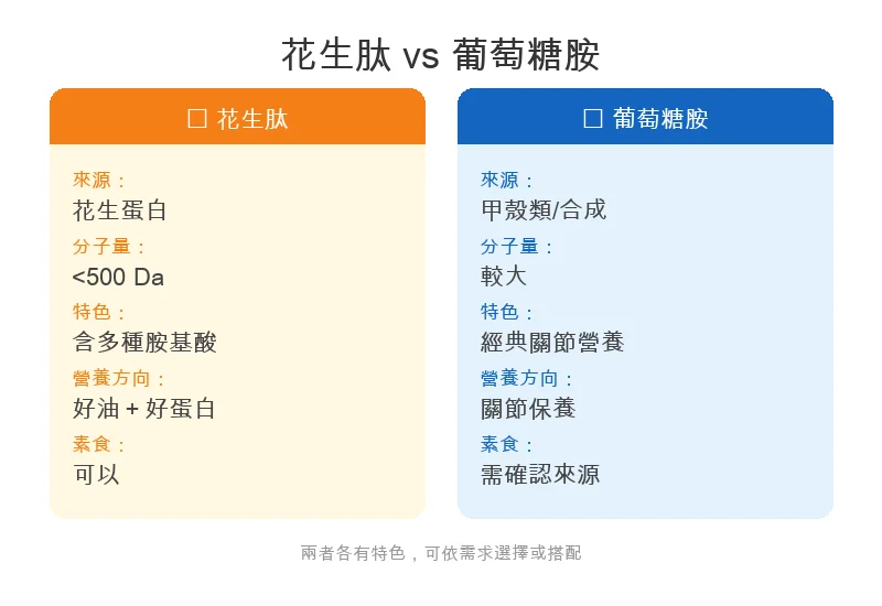 花生肽vs葡萄糖胺完整比較圖解